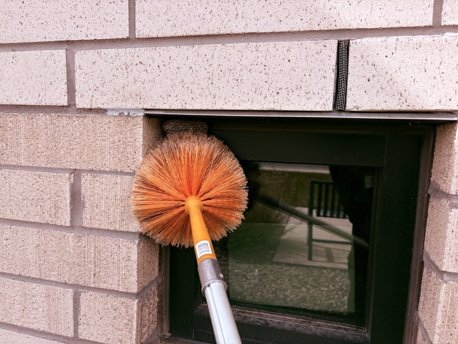 A pole brush sweeping the wasp nest from the window frame at the Springville campus
